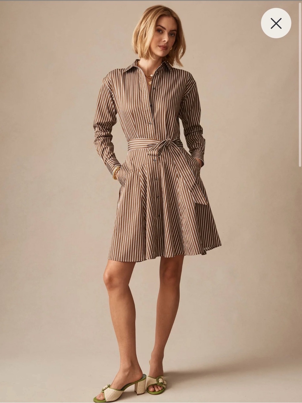 J. McLaughlin Mary Dress in Brown Stripes (NWT)